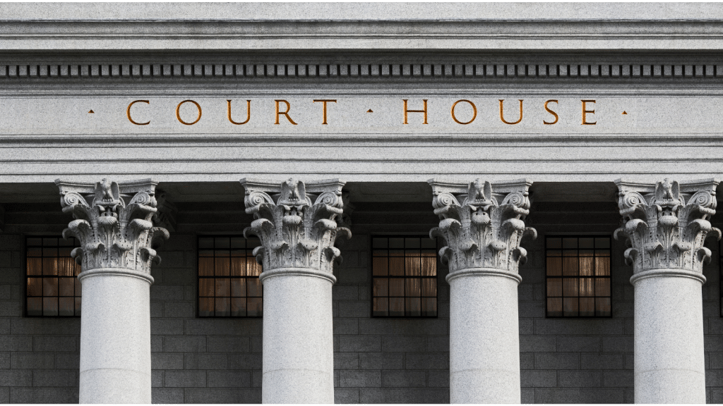 Litigation support services